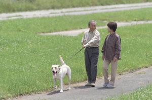 自分達だけの結婚指輪を手に入れよう