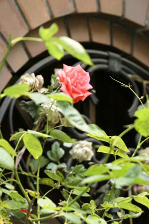 婚約指輪買取にもおすすめの銀座の買取店